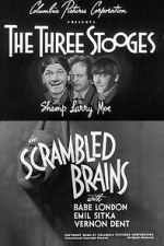Watch Scrambled Brains Moviesjoy