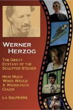 Watch Die große Ekstase des Bildschnitzers Steiner Moviesjoy