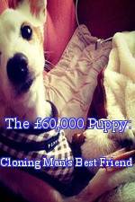 Watch The £60,000 Puppy: Cloning Man's Best Friend Moviesjoy