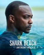Watch Shark Beach with Anthony Mackie Moviesjoy