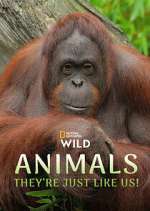 Watch Animals, They\'re Just Like Us! Moviesjoy