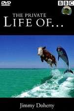 Watch The Private Life of Moviesjoy