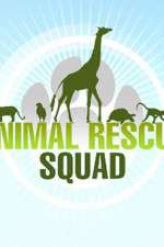 Watch Animal Rescue Squad Moviesjoy
