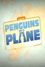 Watch Penguins on a Plane Moviesjoy