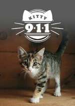 Watch Kitty 911 Moviesjoy