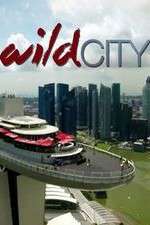 Watch Wild City Moviesjoy