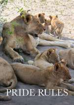 Watch Pride Rules Moviesjoy