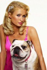 Watch Paris Hilton's British Best Friend Moviesjoy