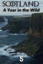 Watch Scotland: A Wild Year Moviesjoy