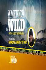 Watch America the Wild Moviesjoy