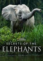 Watch Secrets of the Elephants Moviesjoy