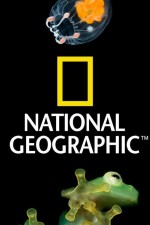 Watch Nat Geo Amazing! Moviesjoy