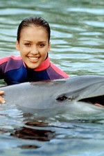 Watch Flipper (The New Adventures of Flipper) Moviesjoy