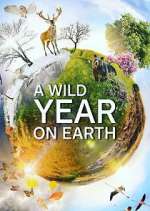 Watch A Wild Year on Earth Moviesjoy