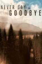 Watch Never Say Goodbye Moviesjoy