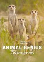 Watch Animal Genius Moviesjoy