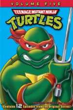 Watch Teenage Mutant Ninja Turtles Moviesjoy