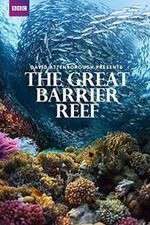Watch Great Barrier Reef with David Attenborough Moviesjoy
