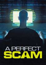 Watch A Perfect Scam Moviesjoy