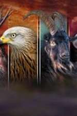 Watch Wales: Land of the Wild Moviesjoy