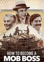 Watch How to Become a Mob Boss Moviesjoy