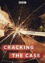 Watch Cracking the Case Moviesjoy