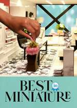 Watch Best in Miniature Moviesjoy