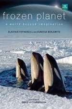 Watch Frozen Planet Moviesjoy