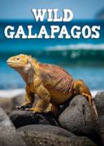 Watch Wild Galapagos Moviesjoy