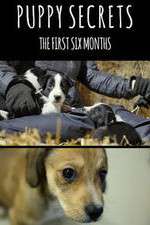 Watch Puppy Secrets: The First Six Months Moviesjoy