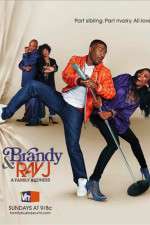 Watch Brandy and Ray J: A Family Business Moviesjoy