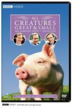 Watch All Creatures Great and Small Moviesjoy