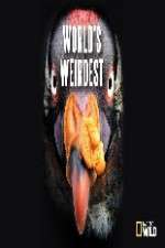 Watch National Geographic Worlds weirdest Moviesjoy