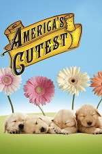 Watch America's Cutest Moviesjoy