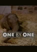Watch One by One Moviesjoy