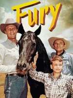Watch Fury Moviesjoy