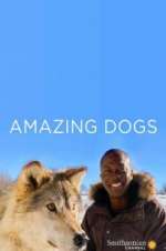 Watch Amazing Dogs Moviesjoy