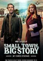 Watch Small Town, Big Story Moviesjoy