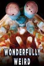 Watch Wonderfully Weird Moviesjoy