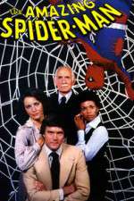 Watch The Amazing Spider-Man Moviesjoy