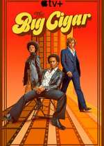 Watch The Big Cigar Moviesjoy