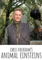 Watch Chris Packham's Animal Einsteins Moviesjoy