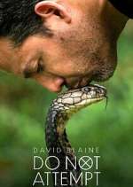 Watch David Blaine Do Not Attempt Moviesjoy