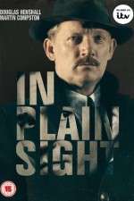 Watch In Plain Sight Moviesjoy