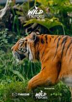 Watch Wild Heroes Moviesjoy