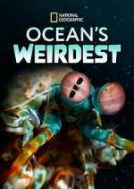Watch Ocean's Weirdest Moviesjoy