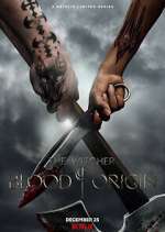Watch The Witcher: Blood Origin Moviesjoy