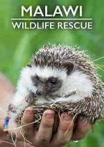 Watch Malawi Wildlife Rescue Moviesjoy