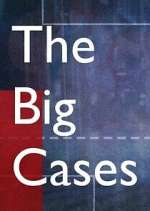 Watch The Big Cases Moviesjoy