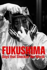 Watch Fukushima: Days That Shocked The World Moviesjoy